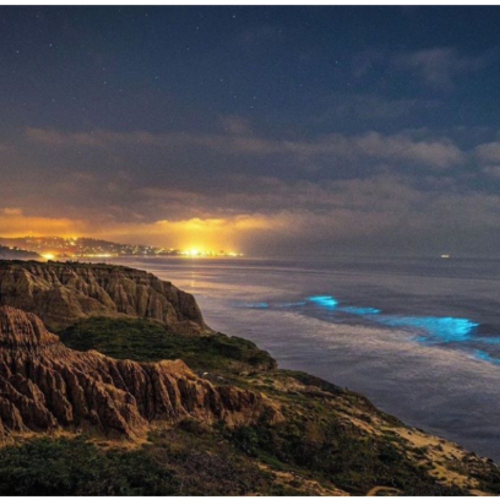 Meet your Posher, Indi